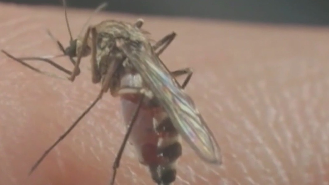 Avoiding mosquitos bites helps prevent malaria spreading